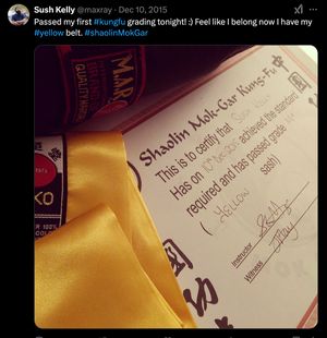 I have a yellow belt - I am dangerous